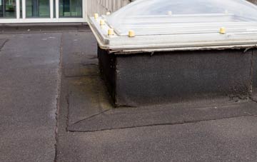 disadvantages of Collessie flat roofs