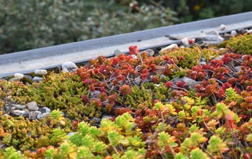the cost of Collessie green roof installation