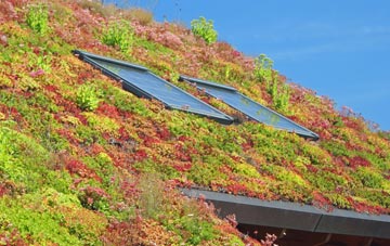 Collessie living roof systems