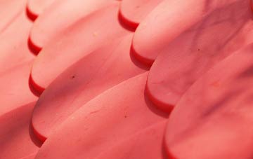 Collessie plastic roof costs